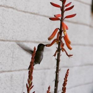 Meet your Posher, Elia